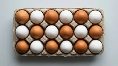 Bruine of witte eieren: wat is echt het verschil en zijn bruine eieren gezonder